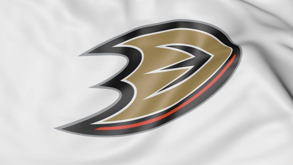 Anaheim Ducks, NHL