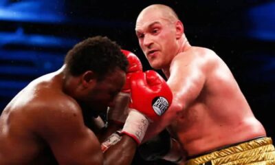 tyson fury, box