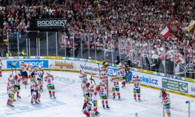 Dynamo pardubice, Fanoušci, kotel