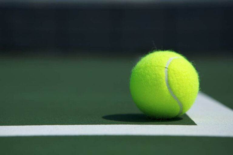 Hvězdy odlétají z Austrálie, po Davis Cupu je čeká hala v Marseille a jihoamerické antuky
