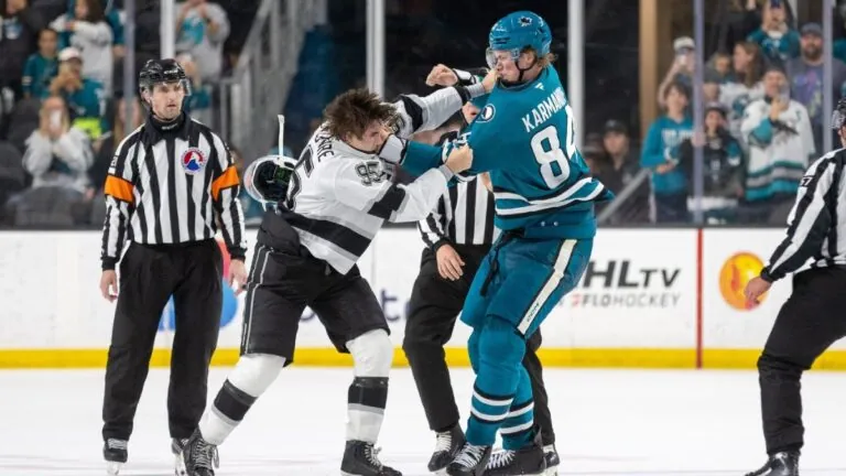 VIDEO: Dvořák narazil na 216 cm vysokou zeď. Nejvyšší muž draftu NHL poté v bitce smetl i mstitele