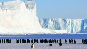 Infantino novinářům pyšně představil odvážný projekt. FIFA chce pořádat MS 2038 v Antarktidě