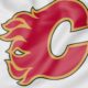 Calgary Flames, NHL