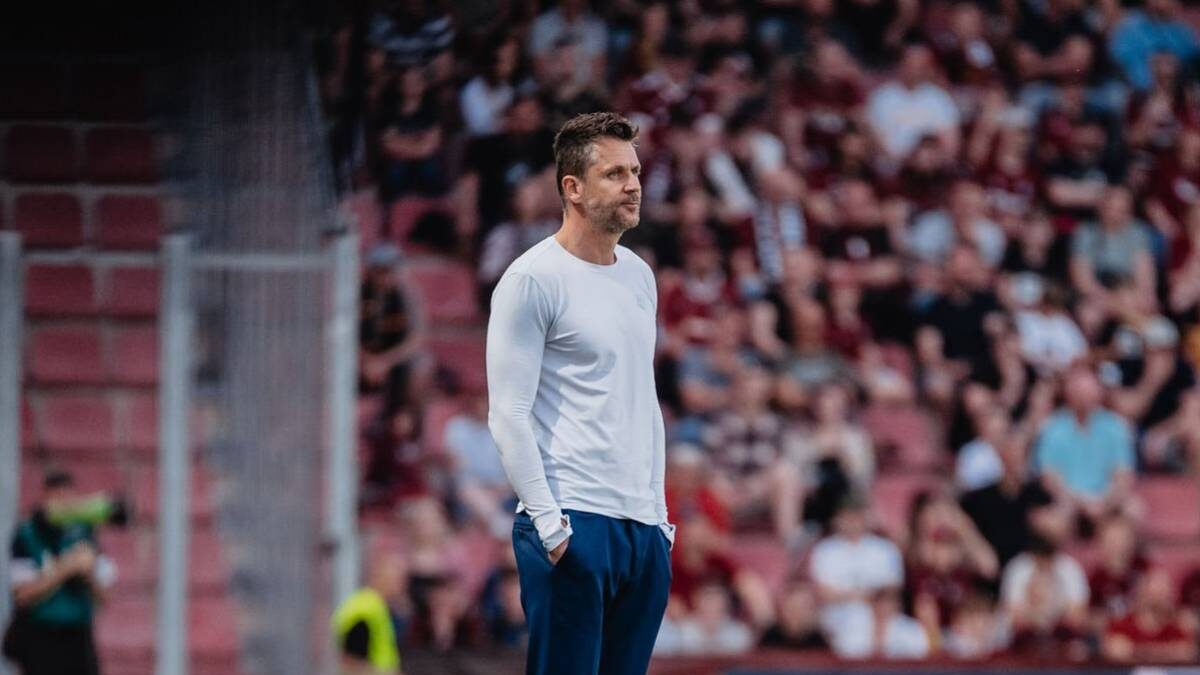 David Holoubek, Mladá Boleslav