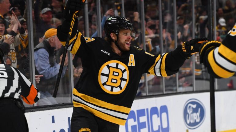 David Pastrnak Boston Bruins