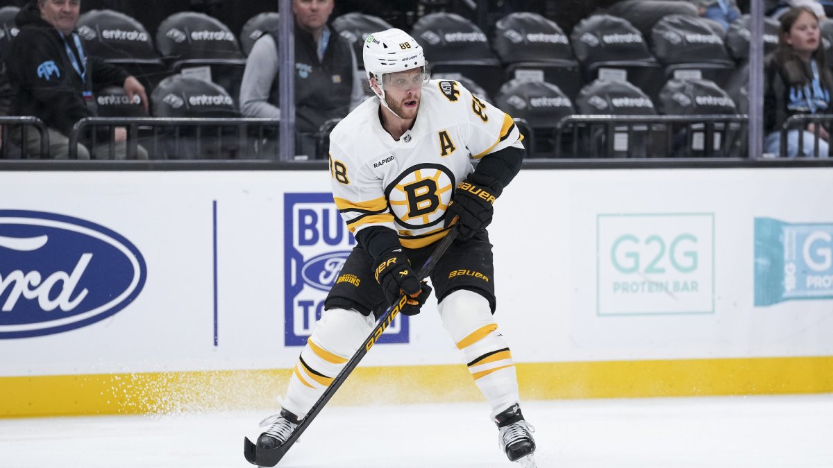 David Pastrňák Boston Bruins