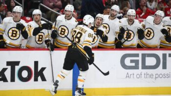 Jak Marco Sturm změnil Boston. Analýza, proč Pastrňák a spol. vypadají úplně jinak