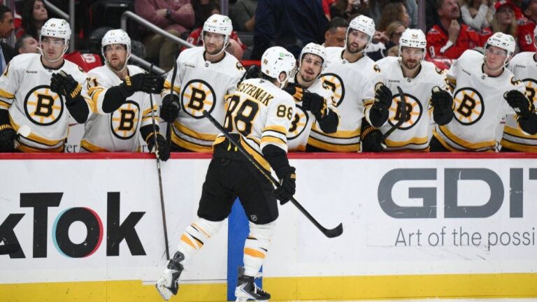 David Pastrnak Boston Bruins