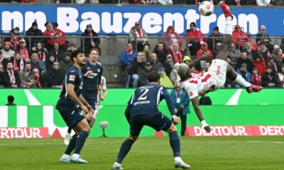 Hoffenheim Kolin nad Rynem