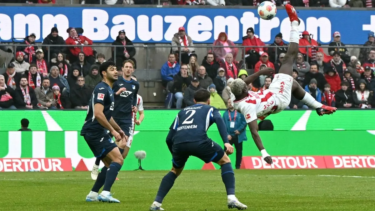 Hoffenheim Kolin nad Rynem