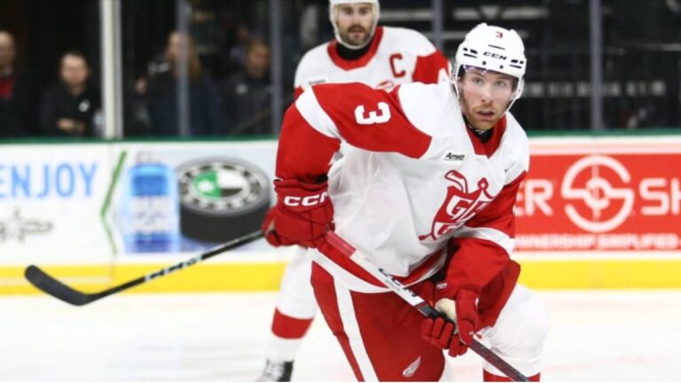 Další Kanaďan do extraligy! Litvínov oznámil posilu ze zámoří, perspektivní bek přichází z organizace Detroitu Red Wings