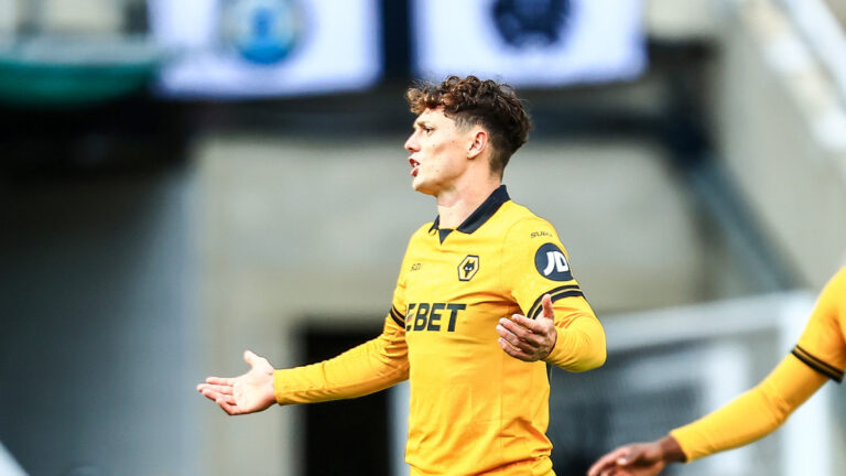 Ladislav Krejčí Wolves