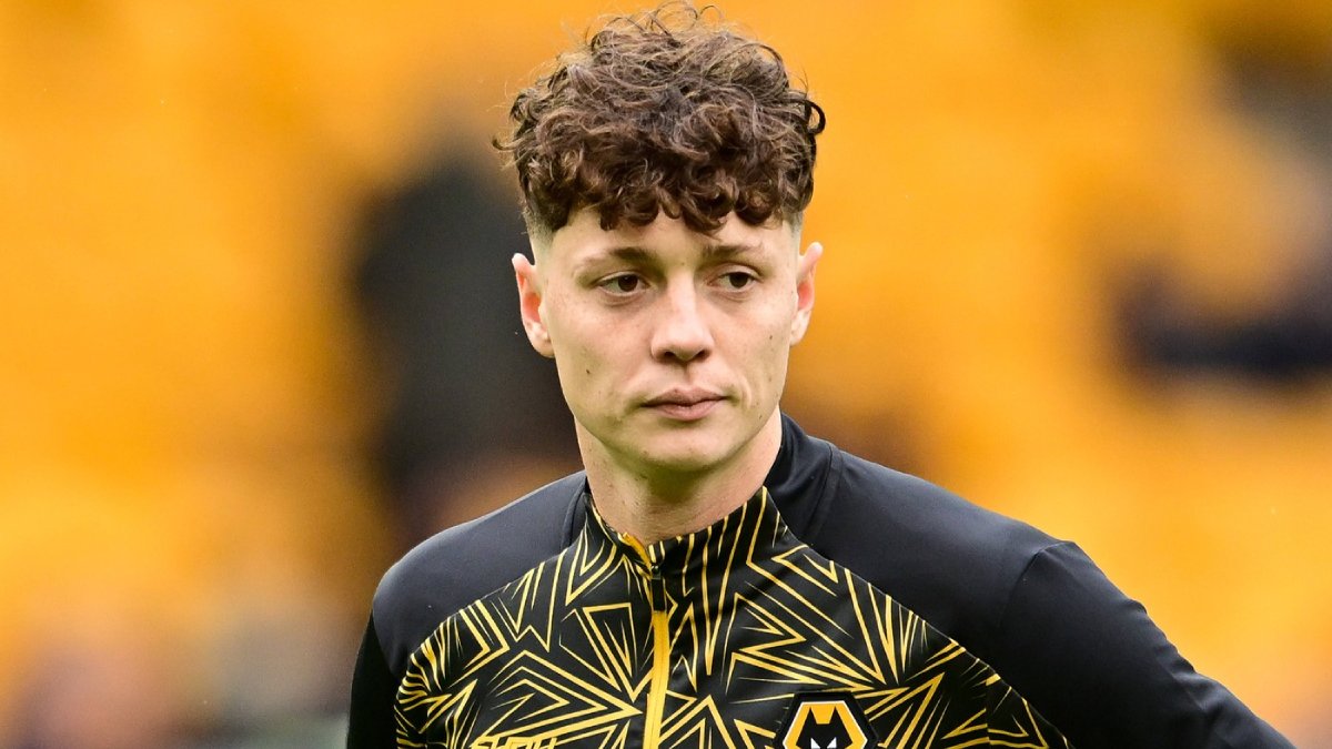 Ladislav Krejčí Wolves