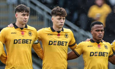 Ladislav Krejčí Wolves