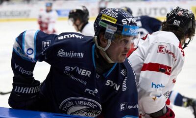 Lukas Derner Bili Tygri Liberec