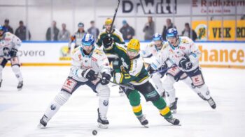 Po 20 letech je zpět v Česku. Trenér Babka hodnotí první ligu a vzpomíná na Budějovice