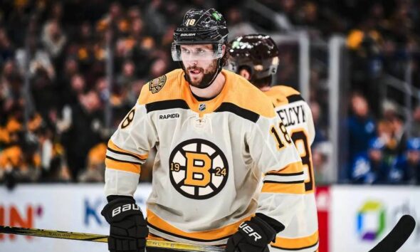 Pavel Zacha Boston Bruins