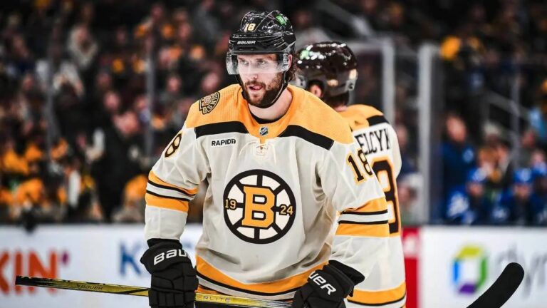 Čeští zástupci v Bostonu bodovali a pomohli k výhře v přípravě NHL