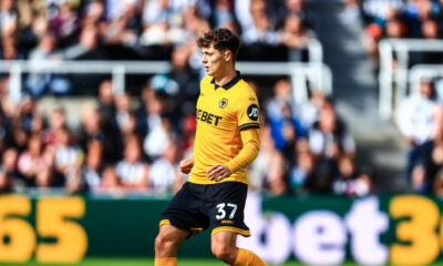 Wolves Ladislav Krejčí