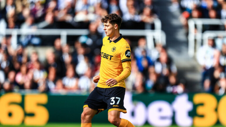 Wolves Ladislav Krejčí