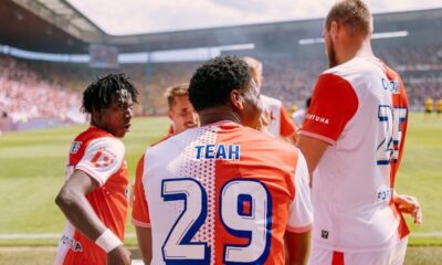 slavia divine teah