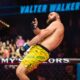 valter walker ufc